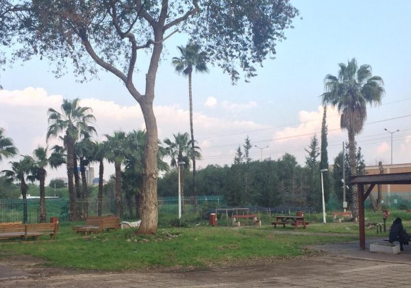 “פנמיית נווה שרה הרצוג”
